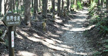 【想定外！】世界の富裕層が熊野古道に求めた“とんでもない旅のスタイル”とは？