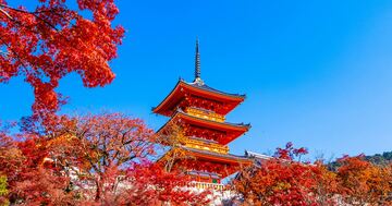 日本人の京都離れ、紅葉シーズンに加速か？外国人のオーバーツーリズムを解決に導く2つの提案