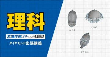 【中学受験の良問・理科】「童謡『どんぐりころころ』に『お池にはまってさあたいへん』という一節がありますが、なぜ大変なのでしょう？」…海城で類題の「植物の種子」の問題