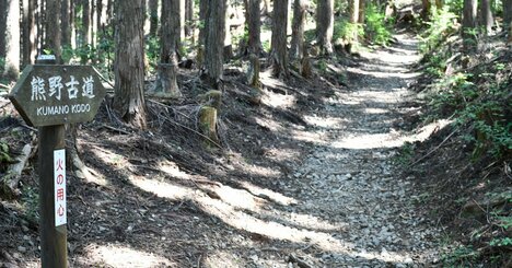 【想定外！】世界の富裕層が熊野古道に求めた“とんでもない旅のスタイル”とは？