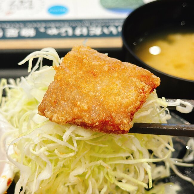 「うますぎる」「一番好きかもしれん」松のやの“ボリューム満点メニュー”肉汁があふれ出てご飯が止まらない！「レギュラーメニューにして」