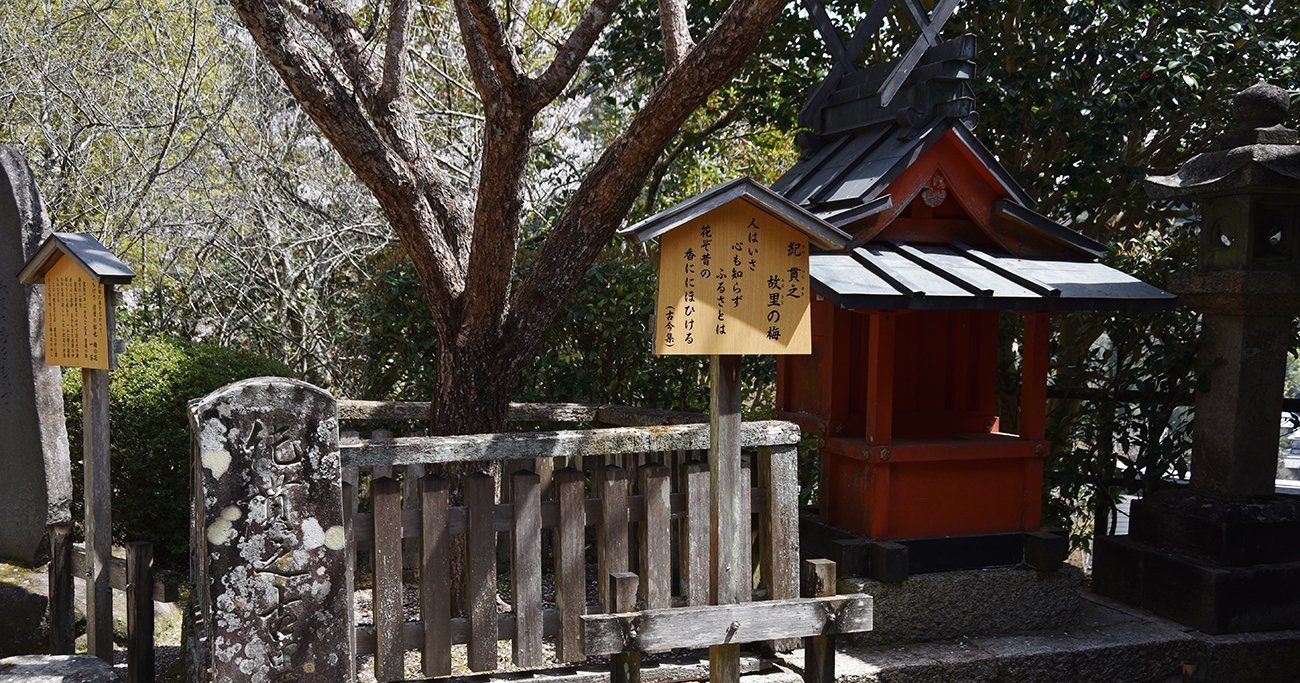【変な偉人】女性になりきって日記を書いたおじいさんの「平安時代の超有名ヒット本」とは？