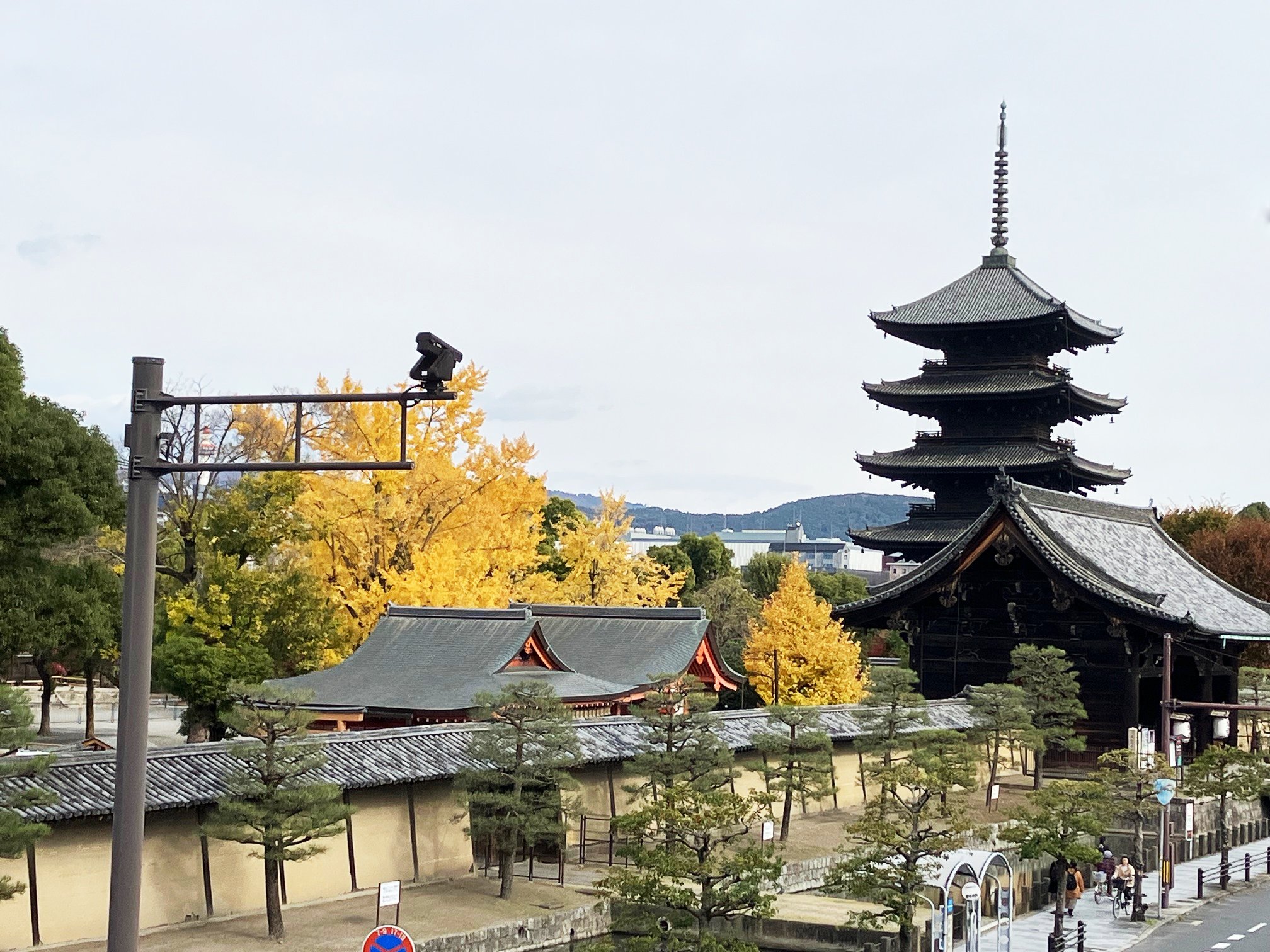 五重の塔を望む
