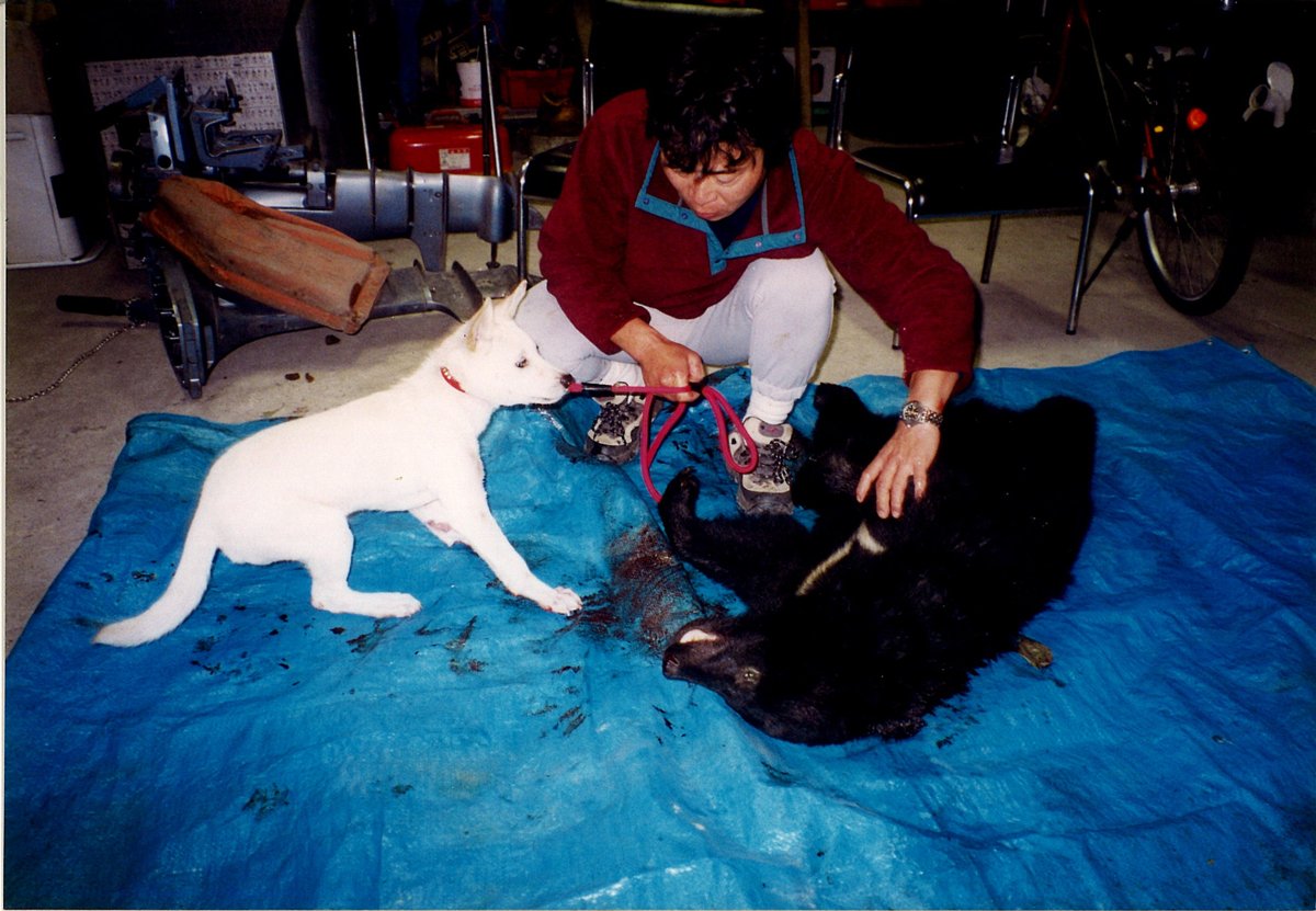 高柳さんと愛犬パル