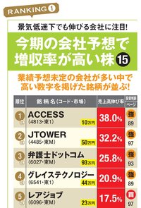 今期の会社予想で増収率が高い株