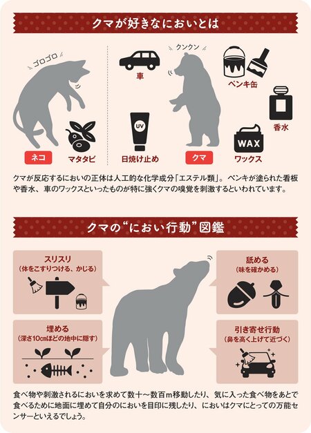 図:クマが好きなにおいとは