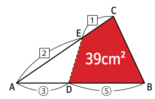 たった1日で誰でも開成・灘中の算数入試問題が解けちゃう本