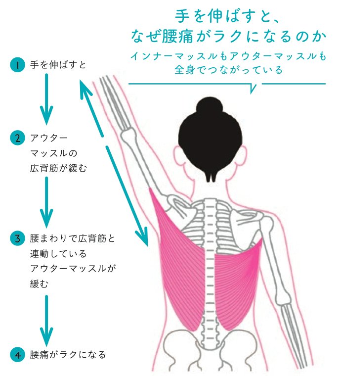 手を伸ばすと腰痛がラクになることと、<br />縮こまったインナーマッスル、アウターマッスルの関係とは!?