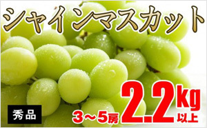 「【秀品】シャインマスカット2.2㎏（3～5房） 」がもらえる「大阪府泉佐野市」