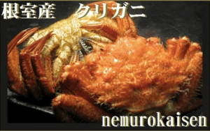「根室市」に1万円の寄付をするともらえる「【北海道根室産】クリガニ12～18尾（合計2.4kg）」