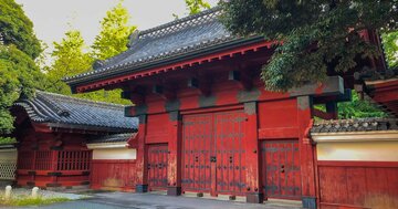 「東大は個性的な人が集まる場所」という幻想、アメリカより深刻な“隠れ格差”の正体