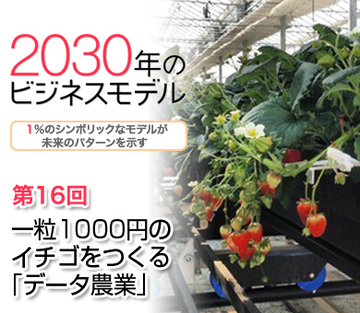 一粒1000円のイチゴをつくる「データ農業」