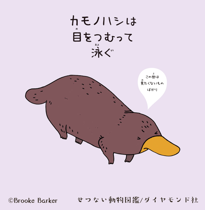 「カモノハシは目をつむって泳ぐ」って知ってました？個性的すぎる生態が、おもしろすぎる