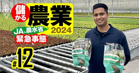 【レジェンド農家ランキング・ベスト20】「時給2500円」は当たり前！5位グリンリーフ・野菜くらぶ、2位サラダボウル、1位は？