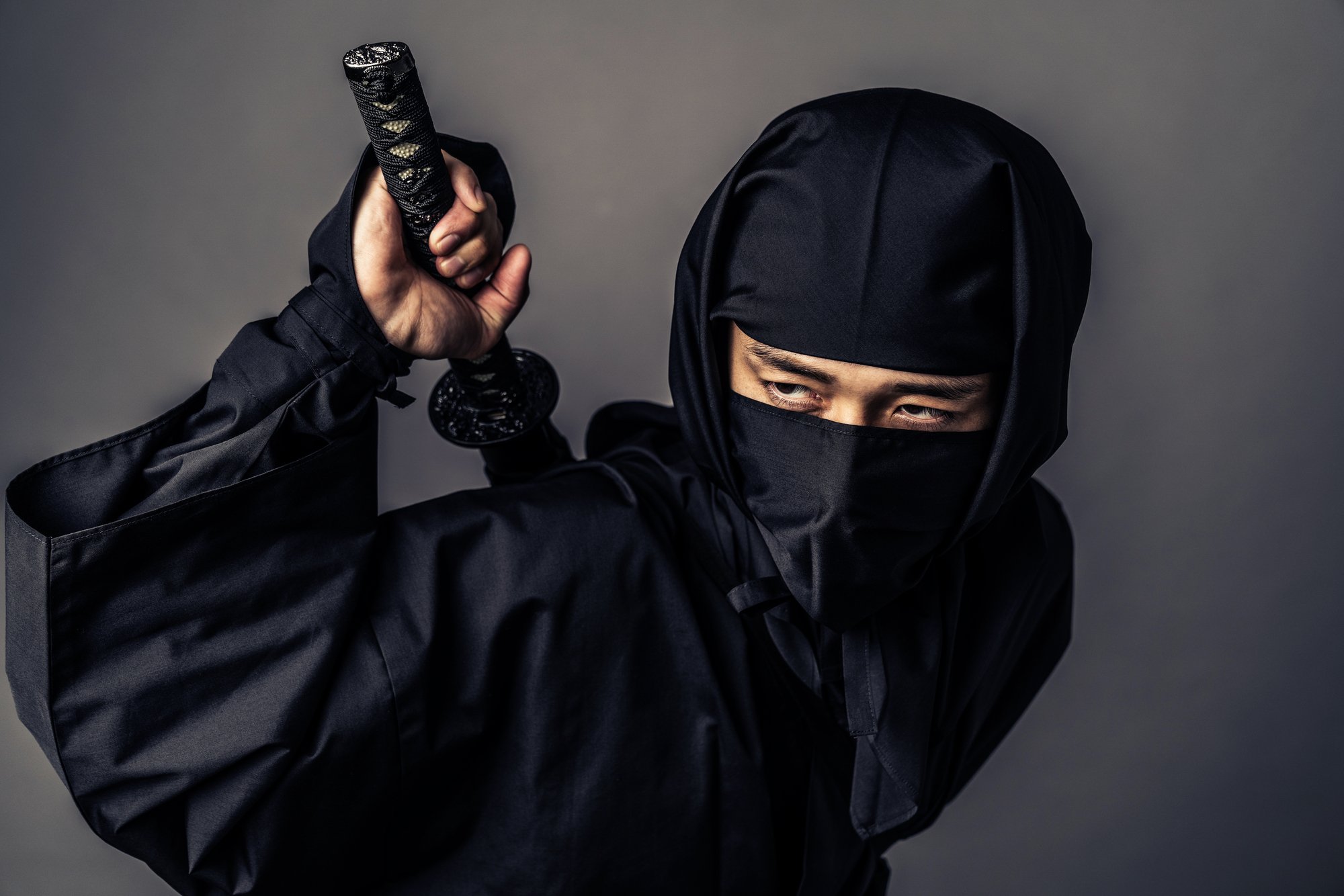忍者はなぜ天下を取れなかったのか？作家の答えが納得感しかなかった