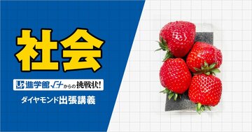 【中学受験の良問・社会】「いちごの収穫量上位の都道府県は？」…栄東や浦和明の星などで類題！果実みたいな野菜の「統計」問題