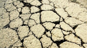 アトピー性皮膚炎の患者はなぜ、「民間療法」に傾いていくのか?