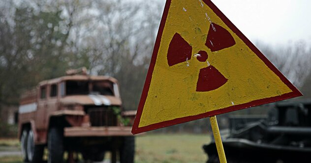 主食は「放射能」...チェルノブイリ原発事故現場の立入禁止区域で発見された「進化の異端児」