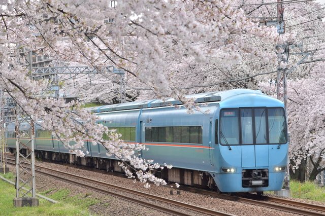 「グリーン車」「ロマンスカー」はNG？外国人に通じない鉄道英語の落とし穴