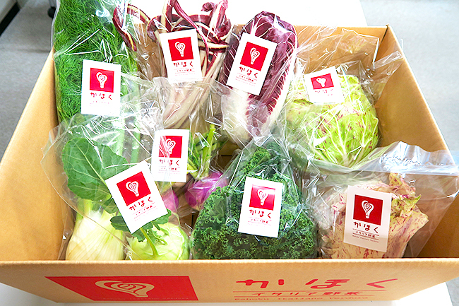 1kg3500円も!イタリア野菜で山形の田舎町が起死回生