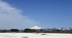 新日本酒紀行「萌稲」