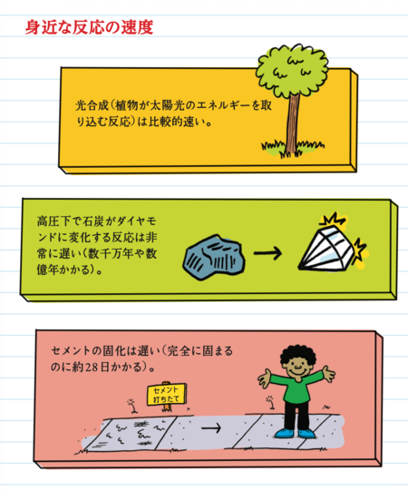 身近な反応速度の例