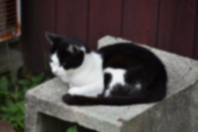 【眼科医が警告】40代から要注意な〈見え方〉の異変「夕方になると見えにくい」「明るいところがまぶしい」…他には？