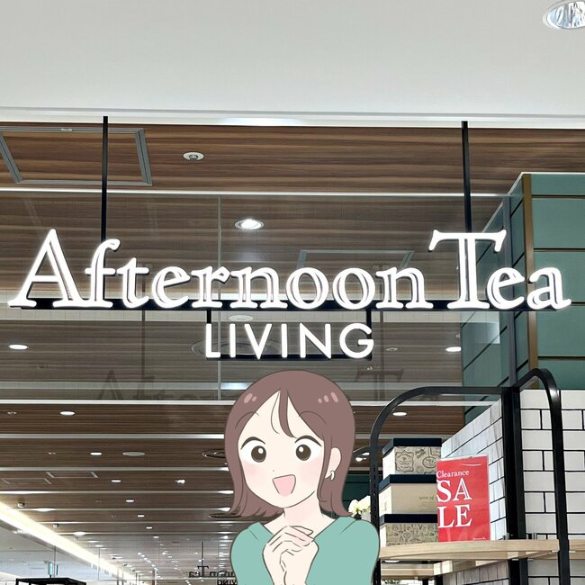 おくすり手帳や処方薬がまるっと入る！アフタヌーンティーの“ポケットたくさん収納”が理想的すぎる！「整理しやすい」「イライラが解消」