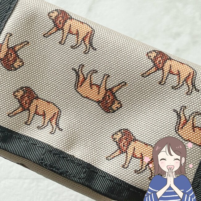 カードが17枚も入った!ニコアンドの“おしゃれミニ財布”手のひらサイズなのに収納力すごい!「ちょうどいいサイズ感」「ものすごく使いやすい」