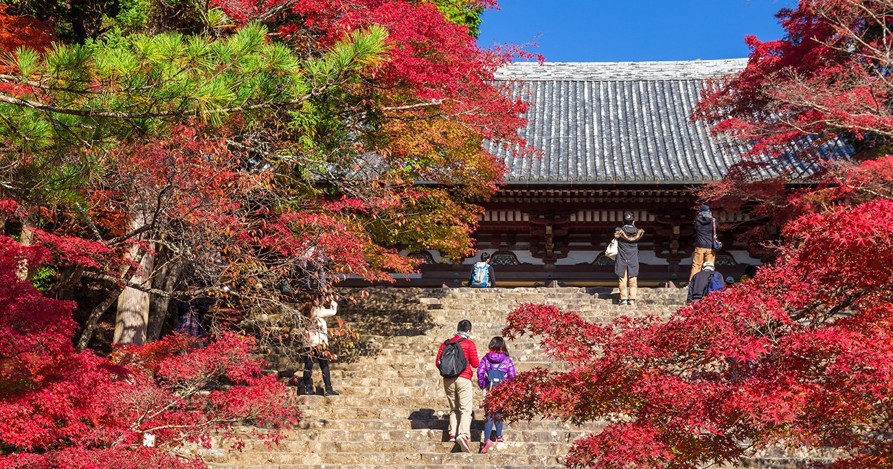 神様　仏様　仏教　仏像　神社　寺　パワースポット　御朱印　参拝　願望実現　開運