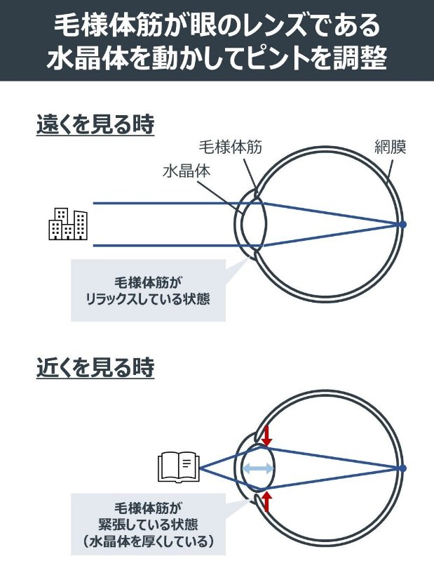 近視でも老眼でも大丈夫？元HOYA技術者が作った「なんかすごいメガネ
