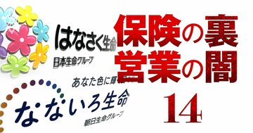日本生命が子会社はなさくの販路拡大「ゴリ押し」、なないろも参戦で代理店大乱戦
