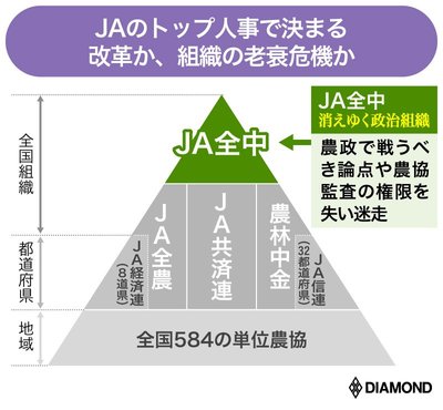 本文導入図版