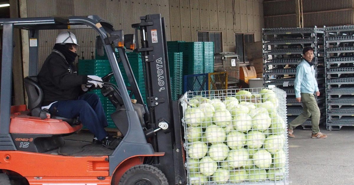 野菜相場を破壊!?オンライン卸売市場スタートへ