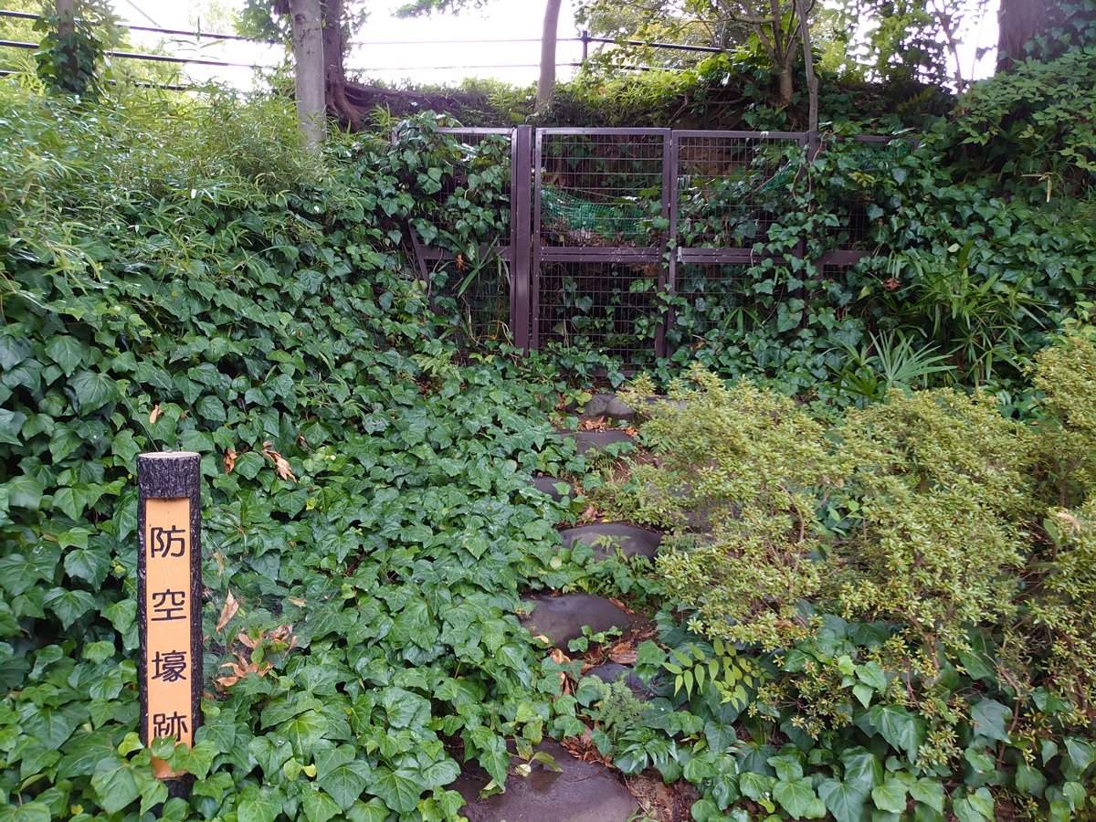 【戦後80年】目黒区の住宅街に残る「兵士の食料保管庫」、現代の住民を支える意外な活用法とは?