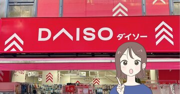ミニ財布にちょうどいい…！ダイソーの“ミニチュアみたいなポーチ”ガバッと開いて中身が見やすい！「買わない選択肢がなかった」「アレンジせずにはいられない」【購入レビュー】