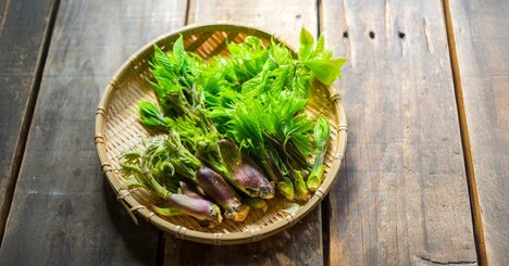 「美味しい」だけで終わる人は損…「美食旅」の感動を倍にする事前準備の全技術