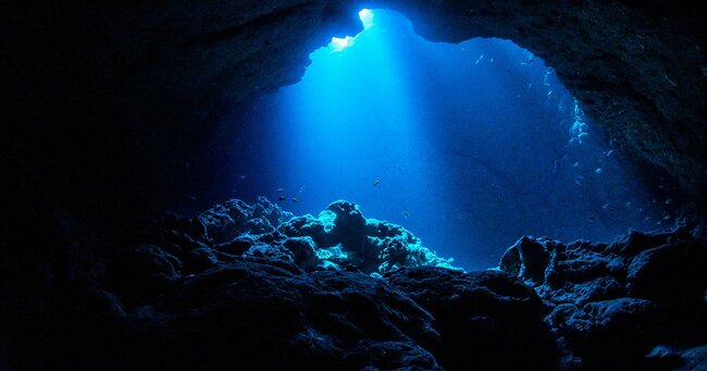 「海底1万m」はどんな場所？水圧の強さ、住む生物、到達した冒険家を解説！