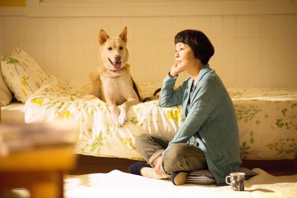 映画『犬に名前をつける日』の山田監督が語る<br />「犬や猫のために、自分に“何が”できるか」