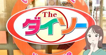 「腰がめちゃくちゃ楽になった」ダイソーの“メッシュ背もたれ”220円でここまで快適になるなんて…!「会社用を追加購入」「流石に良すぎこれ」