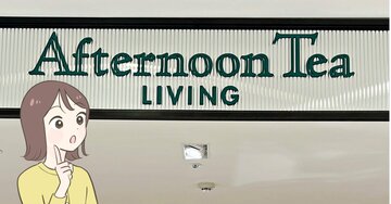 見つけた瞬間、迷わず購入!アフタヌーンティーの「ネコだらけマグカップ」可愛すぎて使うたびに癒やされる!