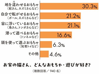 モフモフしたい…「抱っこ嫌いなネコ」の心を開く「魔法の道具」とは?