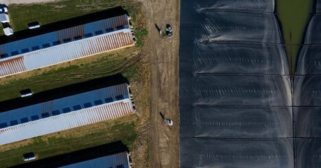 トランプ政権、中国による米国農地の購入禁止を目指す