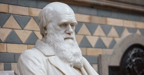 ダーウィンは自然淘汰を発見していない？“誤解だらけの進化論”の真実