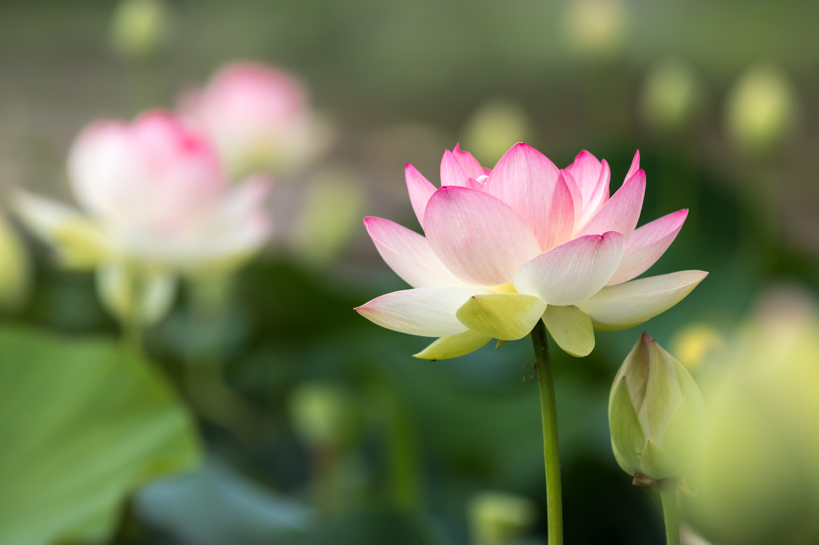 一瞬で「悩み・苦しみ」が解決する方法とは?