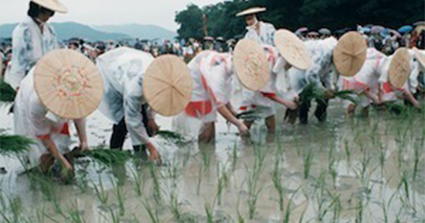 消えた被災者支援用の“神のコメ”行方は神社本庁職員の胃袋へ