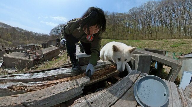 能登半島地震にも出動した「災害救助犬」は、日頃どんな訓練をしているのか？