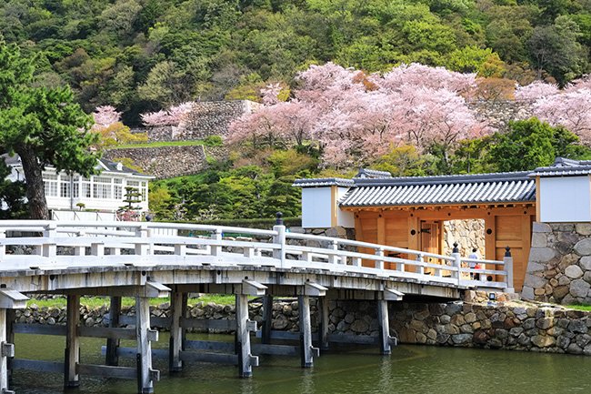 現在の鳥取城跡（久松公園の擬宝珠橋）