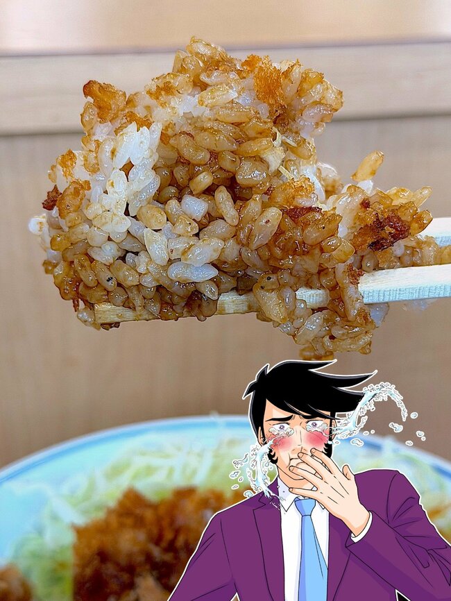 「安定の美味しさ」「マジで幸せの一杯」かつやの“ボリューム満点どんぶり”お肉たっぷりで食べ応えがすごい！「舐めてた、腹パンパン」