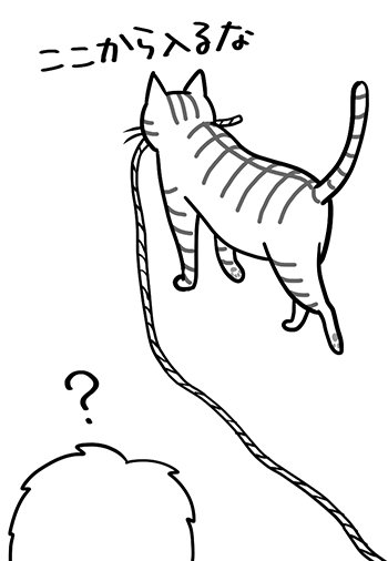 猫から飼い主に覚えておいてほしいこと。<br />猫はこんな人間が苦手です…